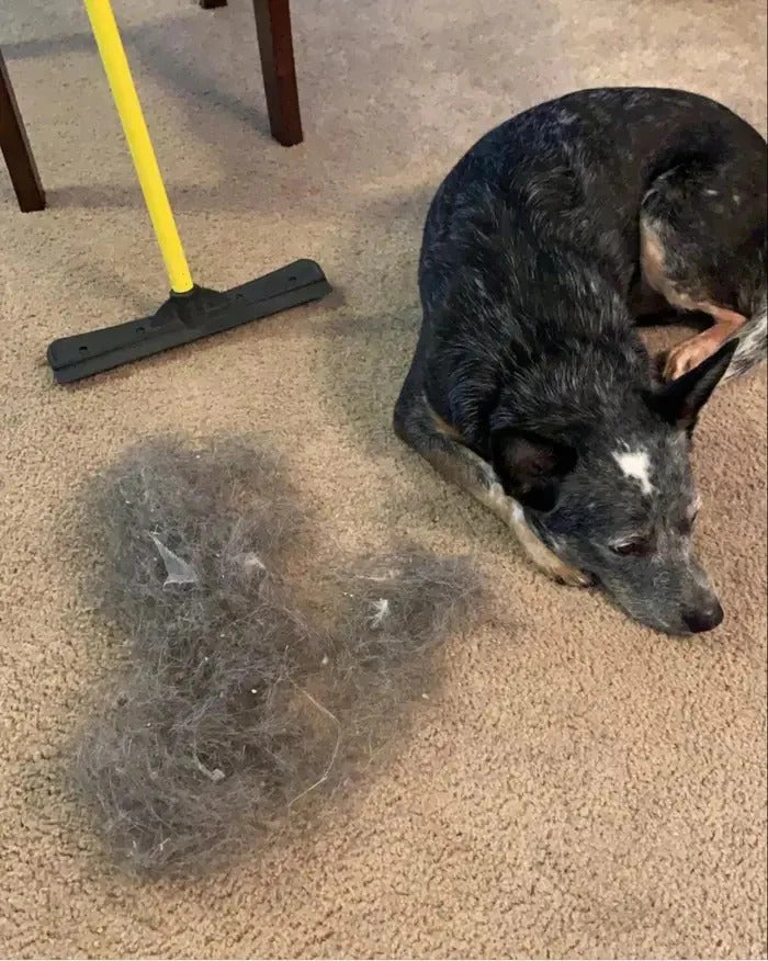 Petliko Prosweep