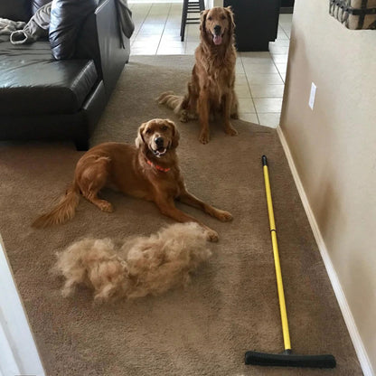 Petliko Prosweep